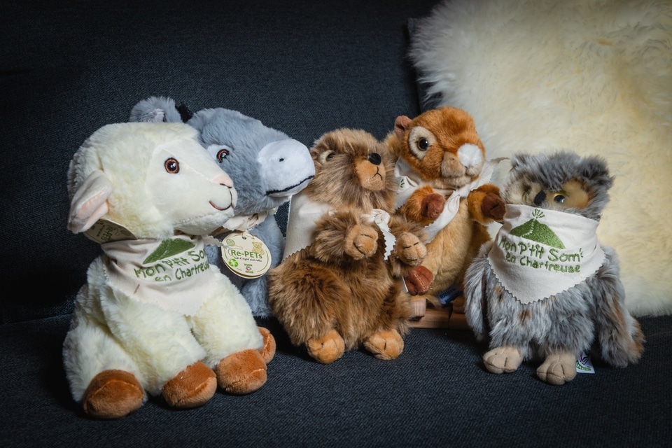 Serie 5 peluches -Photo-Alain-Douce BD-149-TBD