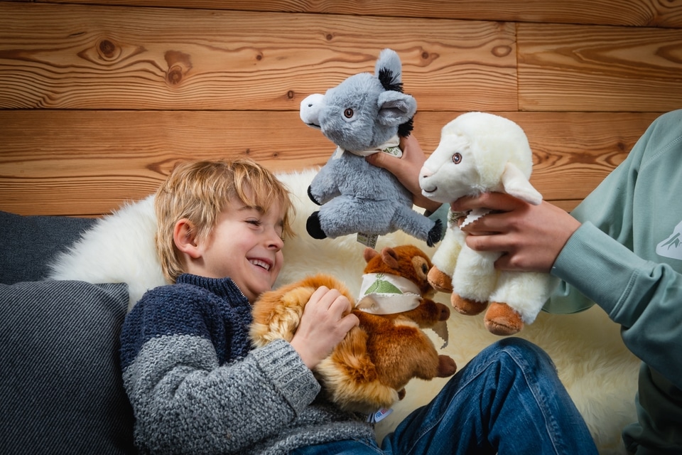 Peluches ane mouton ecureil - Photo-Alain-Douce BD-197-TBD
