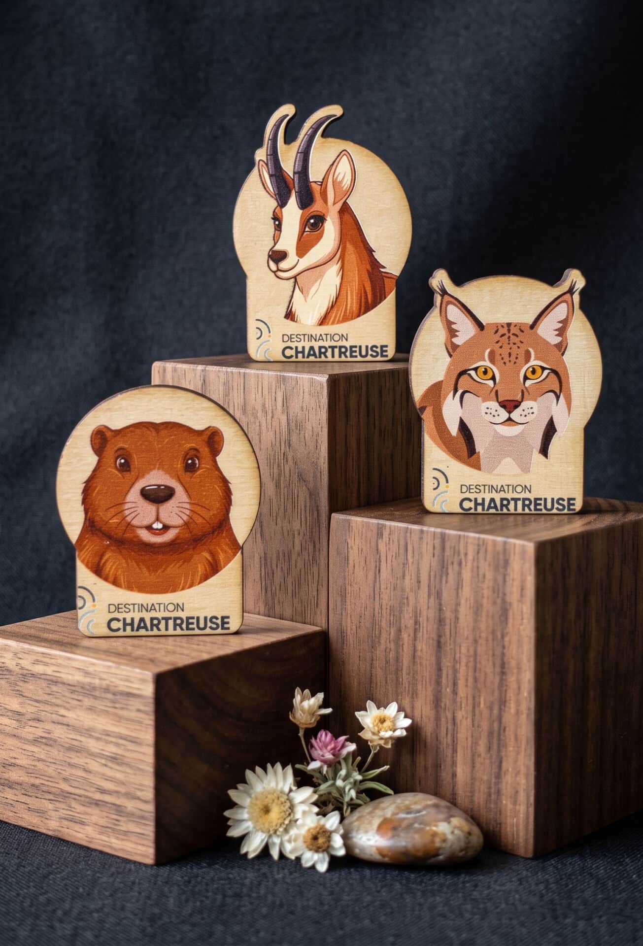 trophée marmotte – défi des 3 randos